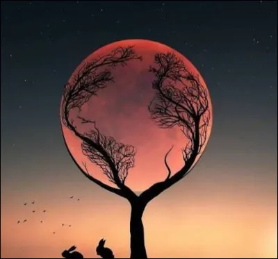 Que pr&eacute;f&egrave;res-tu entre ces propositions ?