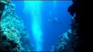 Quel est le plus grand fond marin du monde ?