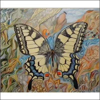 Quel est ce papillon ?