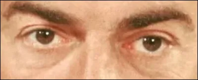 &Agrave; quel programme de t&eacute;l&eacute;vision pouvez-vous rattacher ce regard ?