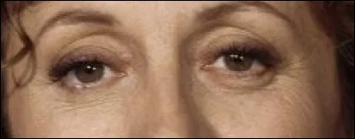 &Agrave; quel programme de t&eacute;l&eacute;vision pouvez-vous rattacher ce regard ?