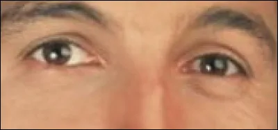 Dans quelle &eacute;mission de t&eacute;l&eacute;vision avez-vous vu les yeux de cet animateur ?