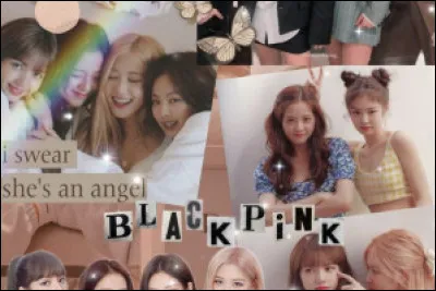 Et enfin la derni&egrave;re question, quel est ton signe astrologique pr&eacute;f&eacute;r&eacute; ?