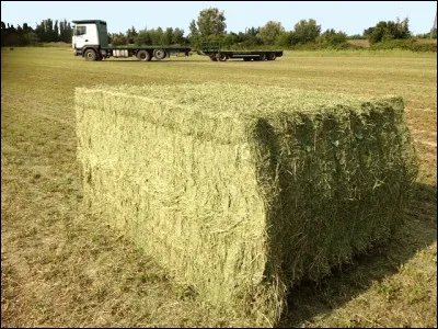 Ce sont les bottes de foin en Normandie.