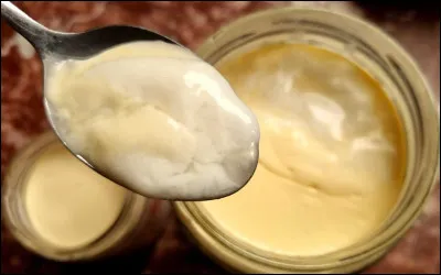 On situe l'origine - on devrait dire les origines- du yaourt chez/dans...