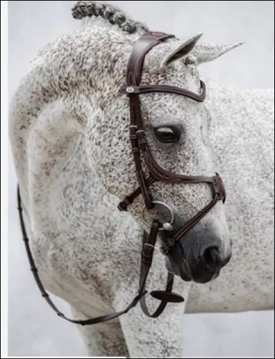 Quelle est cette robe ?