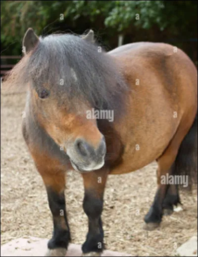 Quelle est cette robe ?