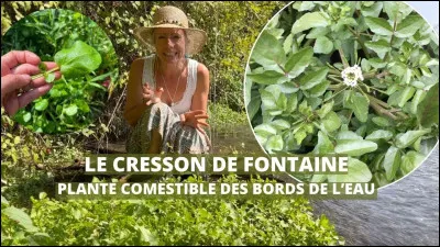 Ne vous noyez pas sur la r&eacute;ponse !