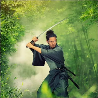 Regardez bien la photo et trouvez la soluti ...on !