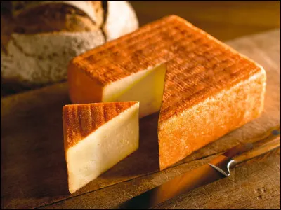 Surtout ne perdez pas le Nord, et vous trouverez !