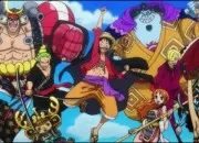 Test Qui es-tu dans l'�quipage de Chapeau de paille ?