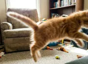 Quiz Personnage myst�re 2 !