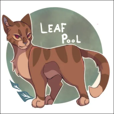 Quelle est la couleur des yeux de Feuille de Lune ?