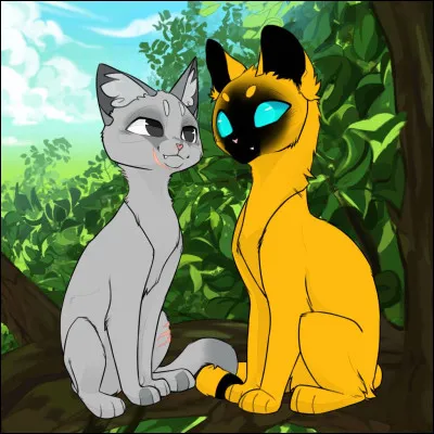 Est-ce un m&acirc;le ou une femelle ?