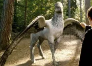 Quiz Devine la cr�ature fantastique dans ''Harry Potter''