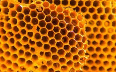 Quiz Culture g�n�rale