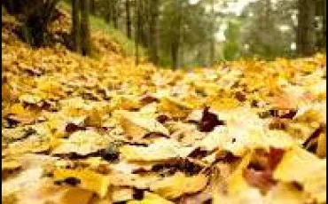 Quiz Culture g�n�rale