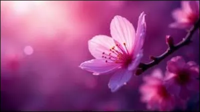 Est-ce que tu aimes la science ?