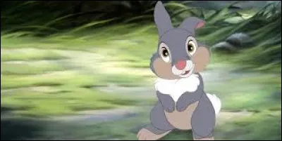 Dans le long m&eacute;trage d'animation ''Bambi'', qui est le meilleur ami de notre h&eacute;ros ?
