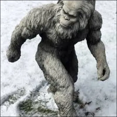 Quel est le dessert pr&eacute;f&eacute;r&eacute; de l'abominable homme des neiges dans une chanson de Lio ?