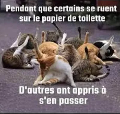 Quel insecte peut soulever jusqu�&agrave; 50 fois son propre poids ?