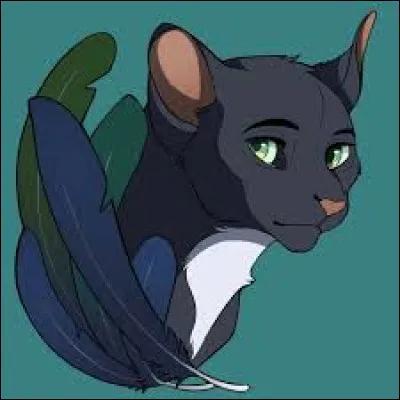 Qui est ce personnage du cycle 1 ?