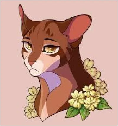 Quel est ce personnage du cycle 2 ?