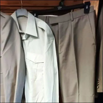 Selon un titre de 1975, quelle chanteuse voulait danser sans chemise et sans pantalon ?