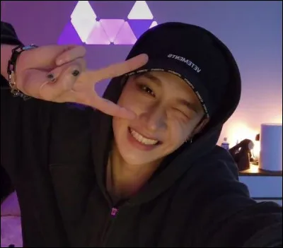 Dans Stray Kids, il est...