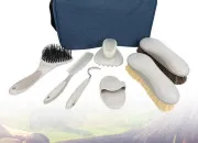 Quiz Tout sur le pansage en �quitation !