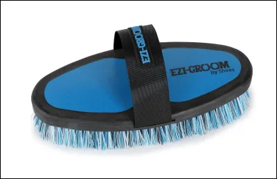 Quelle est cette brosse ?