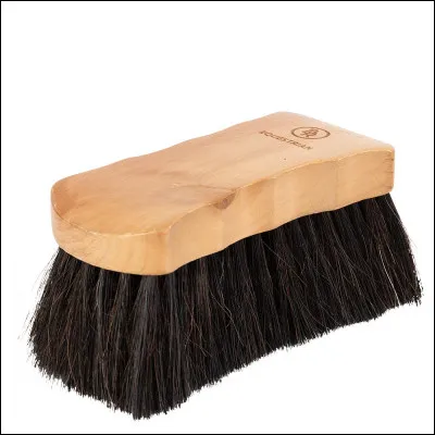 Quelle est cette brosse ?