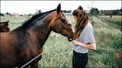 Gr&acirc;ce au pansage, avec son cheval, on peut...