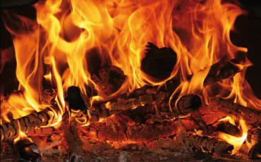 Quiz Gardiens des cites perdues