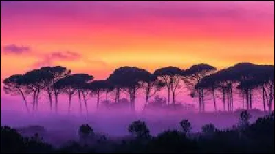 Dans quel pays voudrais-tu aller ?