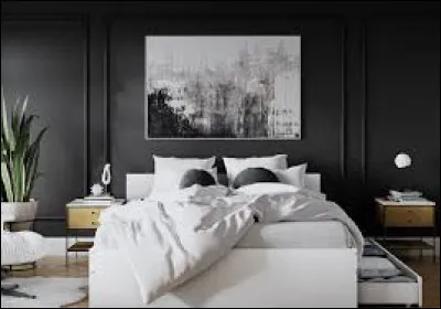 Quelle couleur de chambre voudrais-tu avoir ?