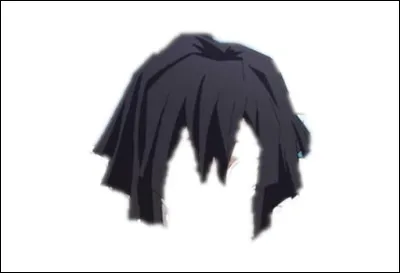 A qui appartient cette coiffure ?