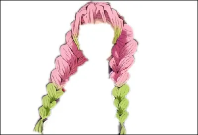 A qui appartient cette coiffure ?