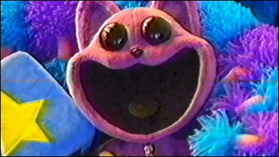 Quelle est ton autre couleur pr&eacute;f&eacute;r&eacute;e ?