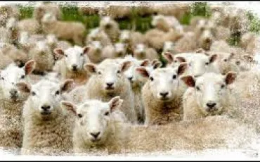 Quiz Culture g�n�rale