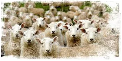 Comment pourrait-on d&eacute;finir un "mouton de Panurge" ?