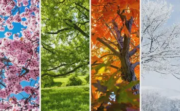 Quiz Test de personnalit�