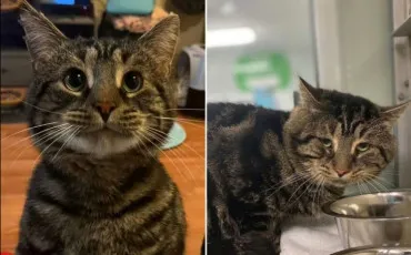 Quiz Test de personnalit�