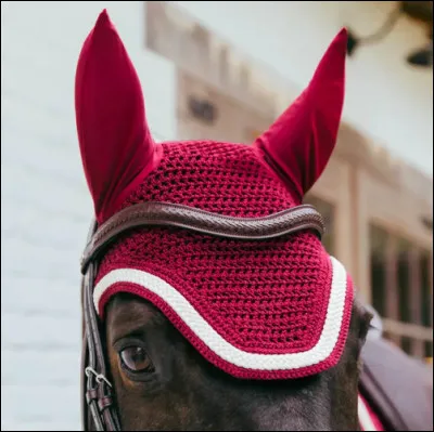 Et quel est cet objet-ci ?