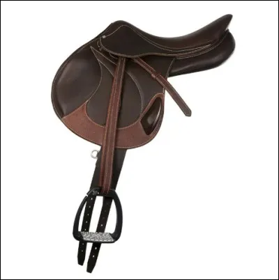 Quel est cet objet ?