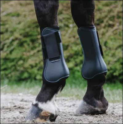 Que sont ces objets ?