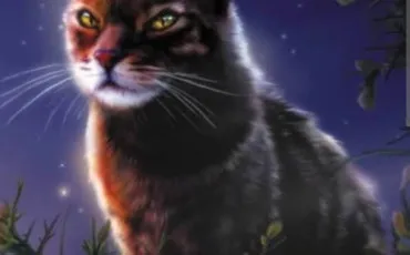 Quiz Litt�rature, po�sie