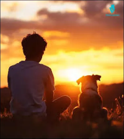 Qui chante le titre &laquo; Forrest&nbsp;&raquo; ?