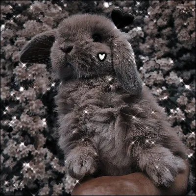 Ton &eacute;nergie ressemble &agrave;�