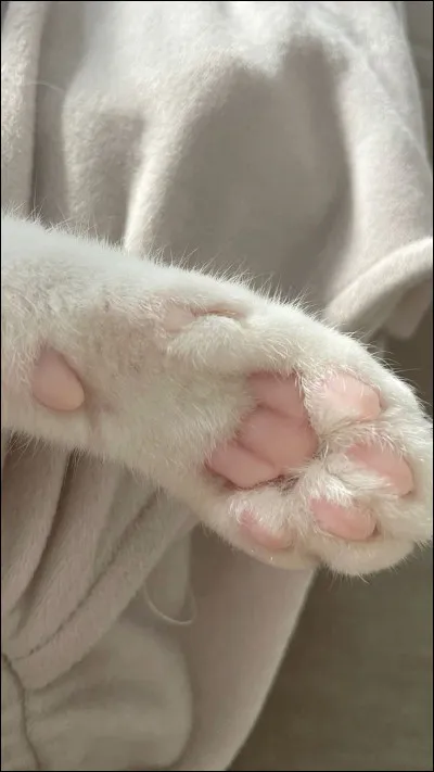 Quel est l'endroit que tu pr&eacute;f&egrave;res ?